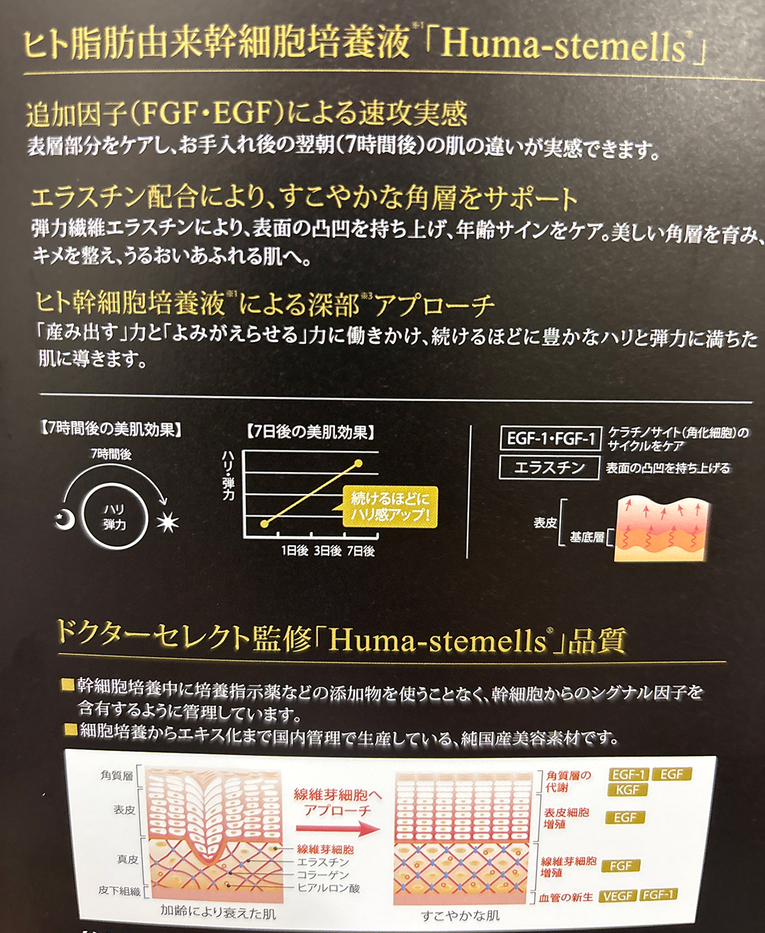 ヒト脂肪由来幹細胞培養液導入コース